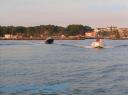 2010-gara-pesca-in-mare-2.jpg