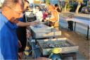 festa-del-mare-2012-03.jpg