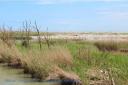 2013-delta-del-pocomacchio-13-04-28-008.jpg